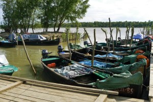 Українська Венеція Вілкове